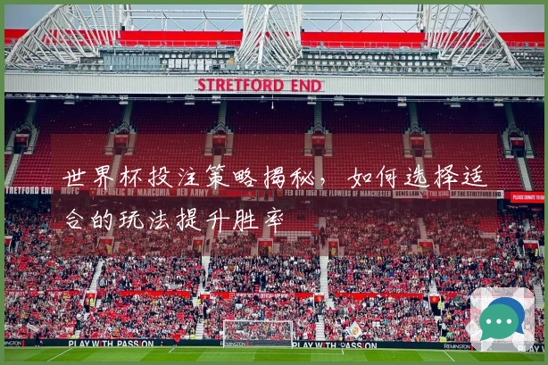 世界杯投注策略揭秘，如何选择适合的玩法提升胜率
