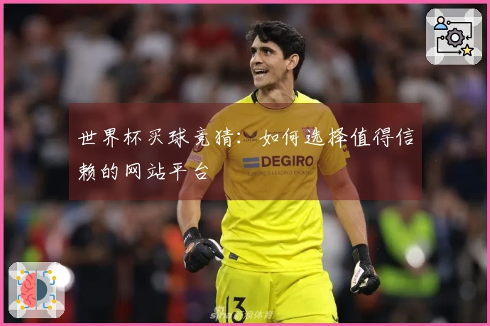 世界杯买球竞猜：如何选择值得信赖的网站平台