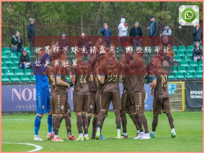 世界杯买球竞猜盘点：哪些赔率让你更具胜算