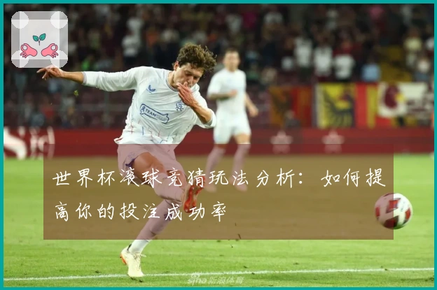 世界杯滚球竞猜玩法分析：如何提高你的投注成功率