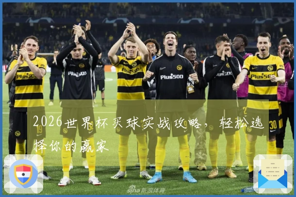 2026世界杯买球实战攻略，轻松选择你的赢家
