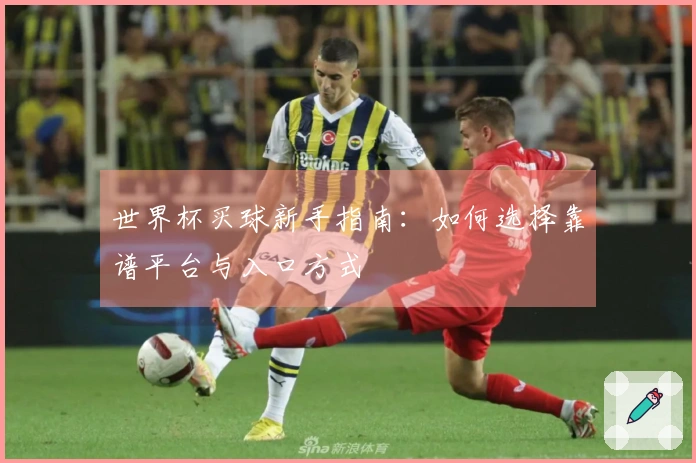 世界杯买球新手指南：如何选择靠谱平台与入口方式
