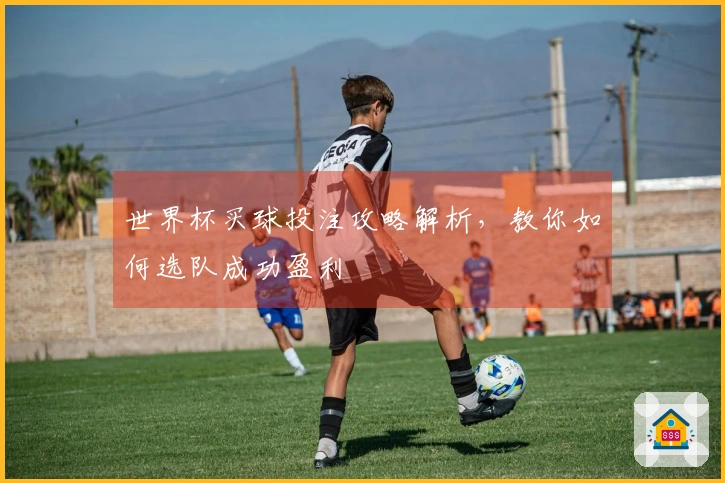 世界杯买球投注攻略解析，教你如何选队成功盈利