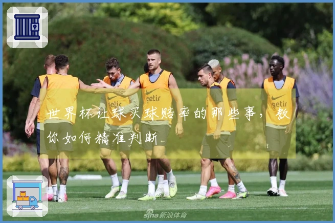 世界杯让球买球赔率的那些事，教你如何精准判断