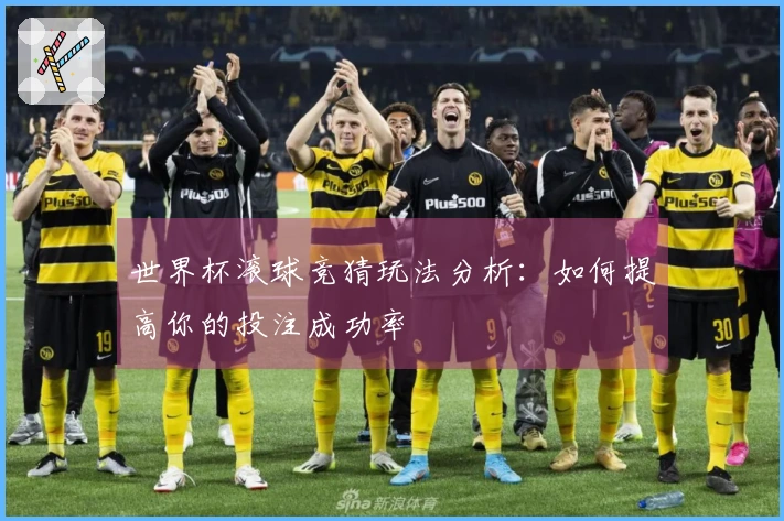 世界杯滚球竞猜玩法分析：如何提高你的投注成功率