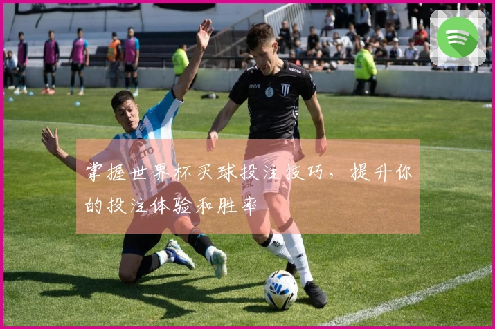 掌握世界杯买球投注技巧，提升你的投注体验和胜率