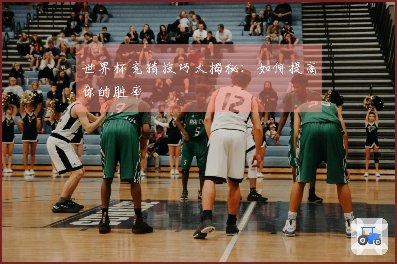 世界杯竞猜技巧大揭秘：如何提高你的胜率