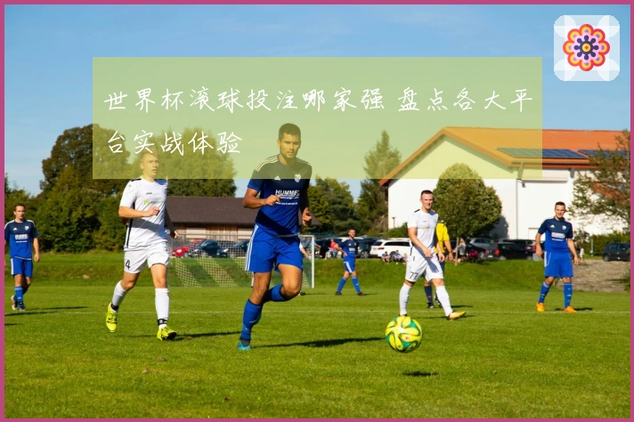 世界杯滚球投注哪家强 盘点各大平台实战体验