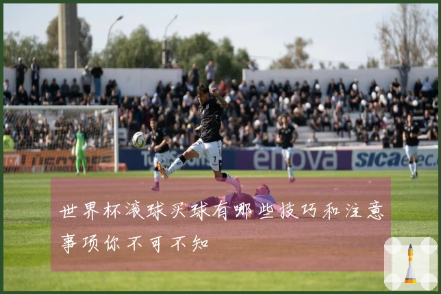 世界杯滚球买球有哪些技巧和注意事项你不可不知