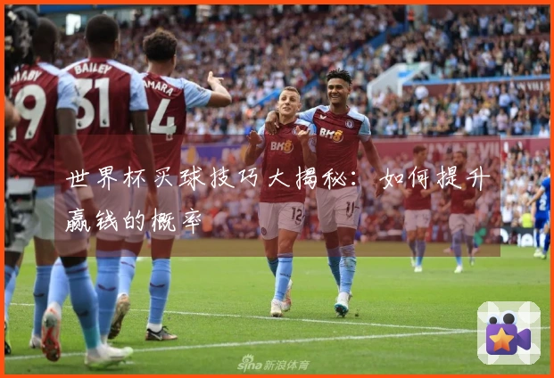 世界杯买球技巧大揭秘：如何提升赢钱的概率
