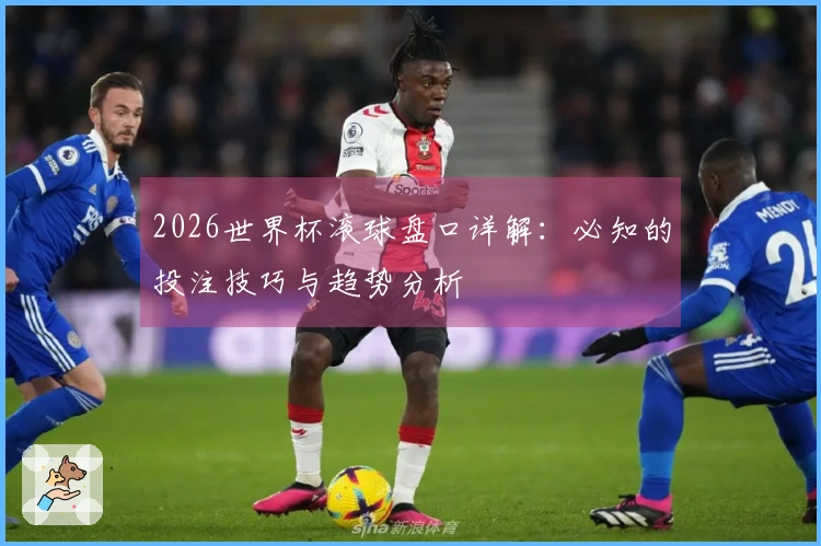 2026世界杯滚球盘口详解：必知的投注技巧与趋势分析