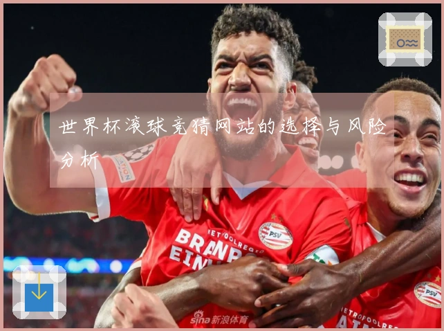 世界杯滚球竞猜网站的选择与风险分析