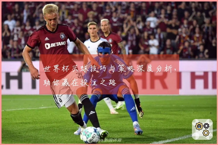 世界杯买球技巧与策略深度分析，助你赢在投注之路