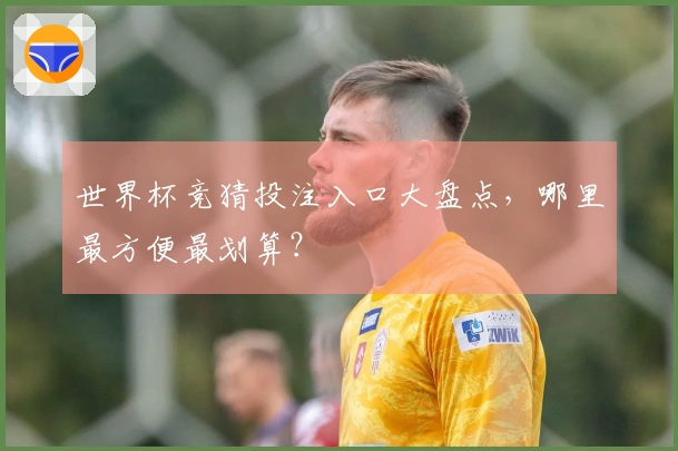 世界杯竞猜投注入口大盘点，哪里最方便最划算？