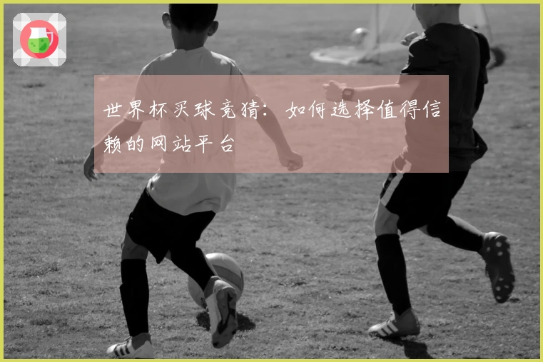 世界杯买球竞猜：如何选择值得信赖的网站平台
