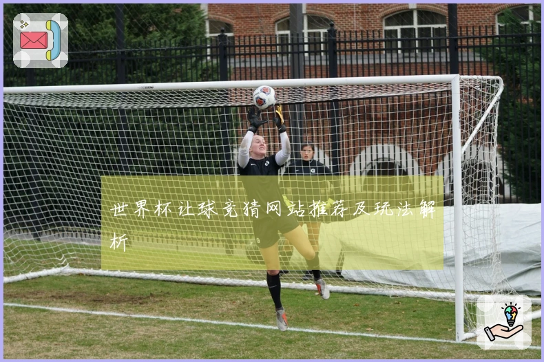 世界杯让球竞猜网站推荐及玩法解析