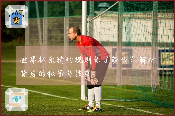 世界杯竞猜的规则你了解吗？解析背后的秘密与技巧