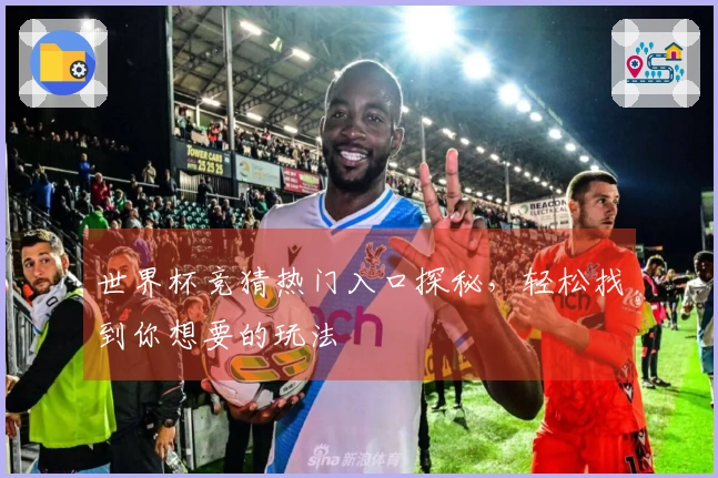 世界杯竞猜热门入口探秘，轻松找到你想要的玩法