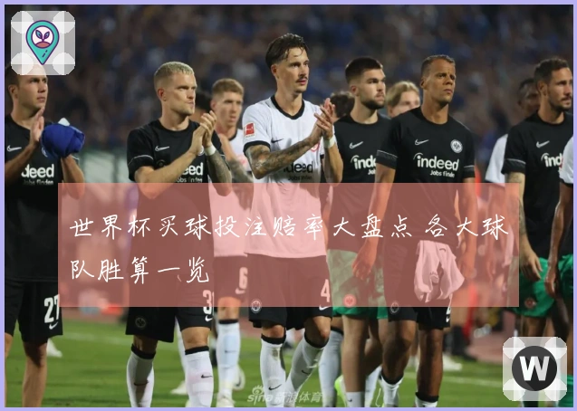 世界杯买球投注赔率大盘点 各大球队胜算一览