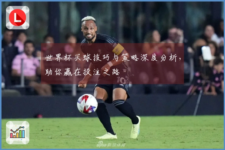 世界杯买球技巧与策略深度分析，助你赢在投注之路